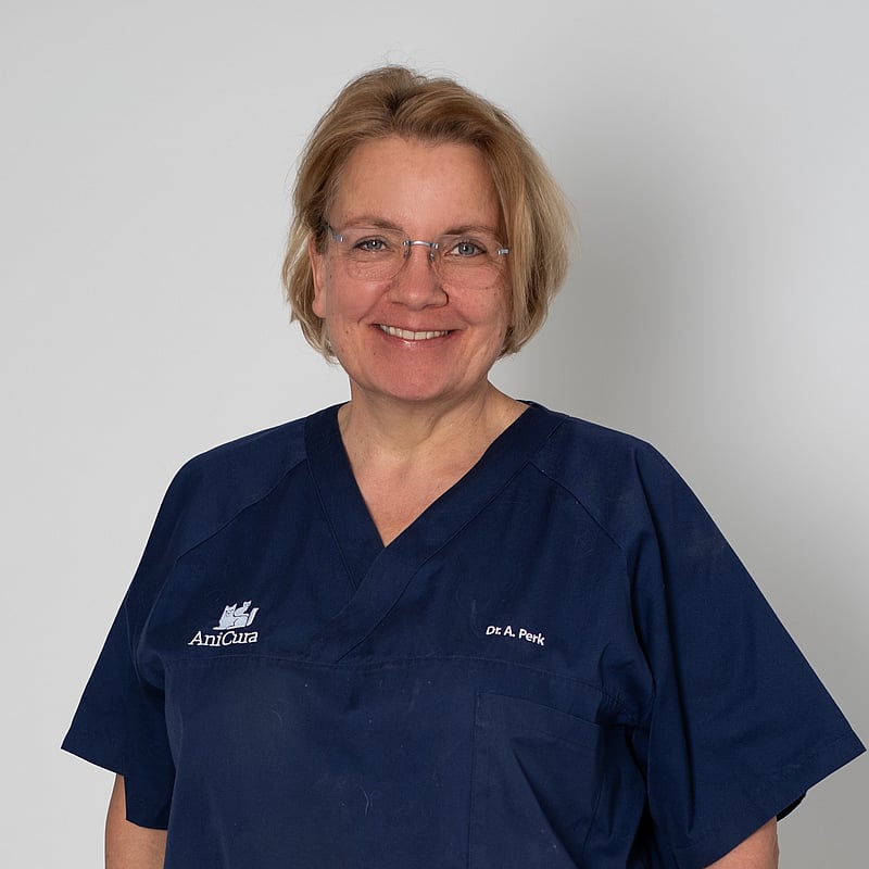 Foto von Dr. Annette Perk, Chefärztin & Geschäftsführerin