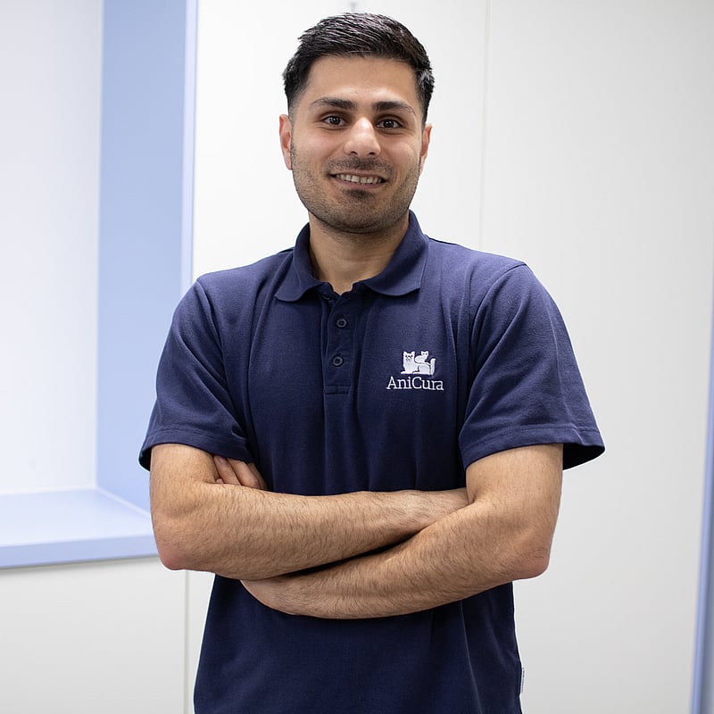 Foto von Amirali Sharbaf, Tierarzt