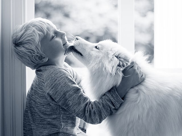 Ein Kind und ein Hund.