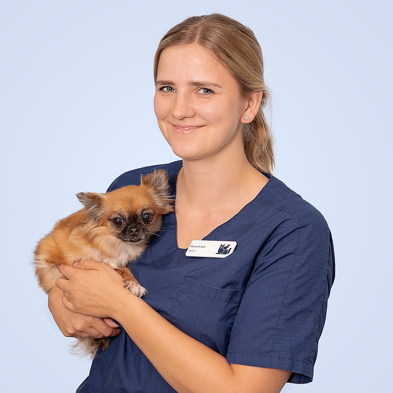 Foto von Marina Menzel, Tierärzte