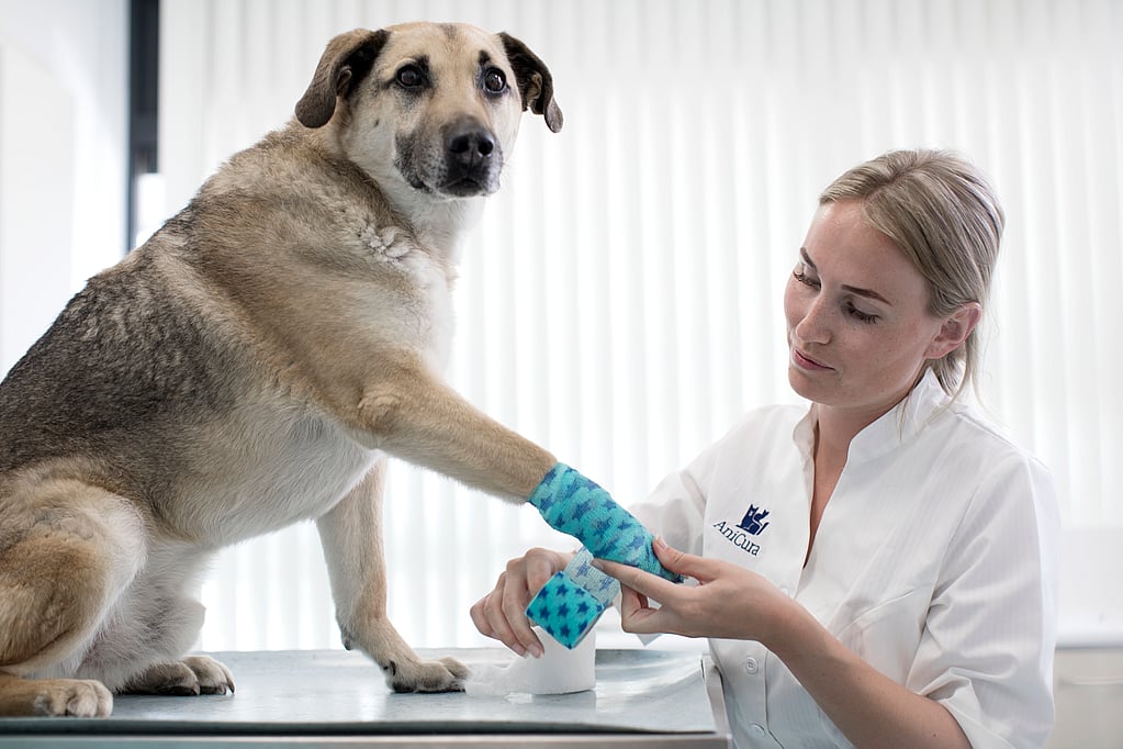 Eine Person mit einem Verband am Bein.