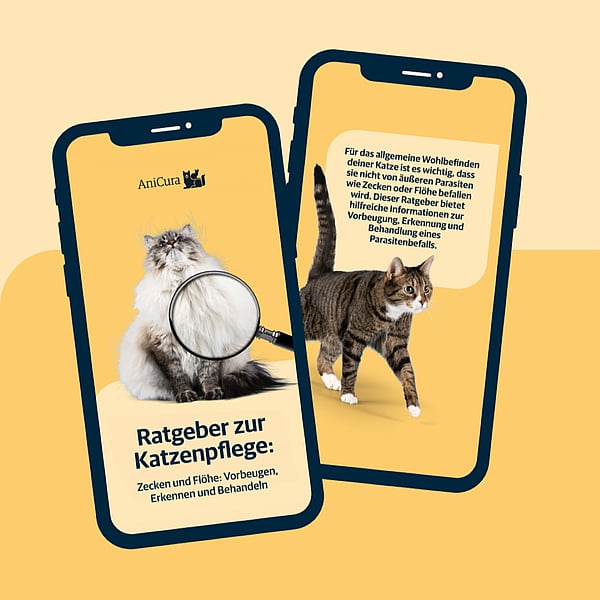 Two phones beside each other displaying a preview of the care guide.