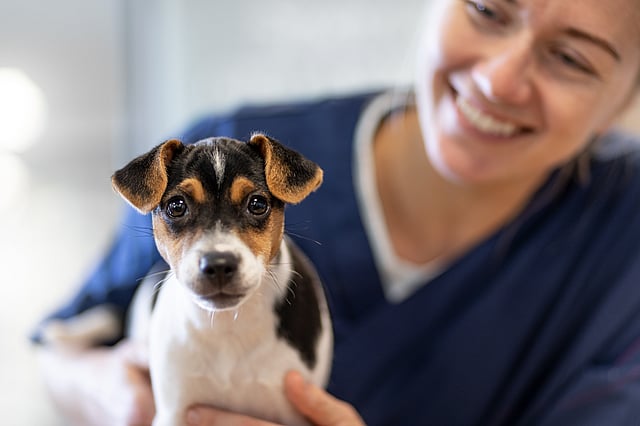 A person holding a dog.