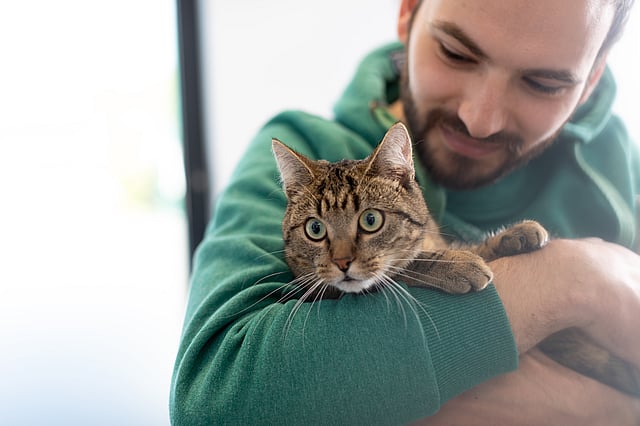 Eine Person, die eine Katze hält.
