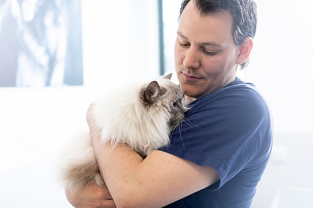 Tierarzt trägt Katze