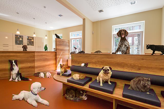 Mitarbeiterin und Hund