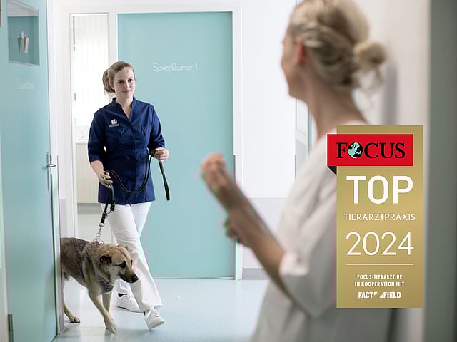Eine Tierärztin kommt am Ende des Flures mit einem Hund um die Ecke, den sie an der Leine führt. Eine andere Tierpflegerin steht im Vordergrund an der Wand und schaut die beiden an.