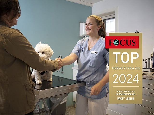 Eine Tierärztin und eine Kundin geben sich die Hand und lachen sich an. Neben ihnen sitzt ihr kleiner weißen Hund auf dem Tisch.