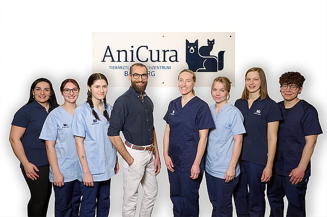 Team AniCura Bamberg