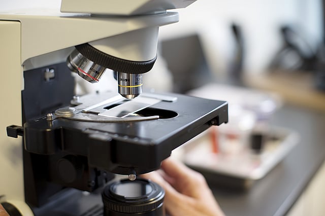 Labormitarbeiterin bedient Analysegerät in einem tiermedizinischen Labor