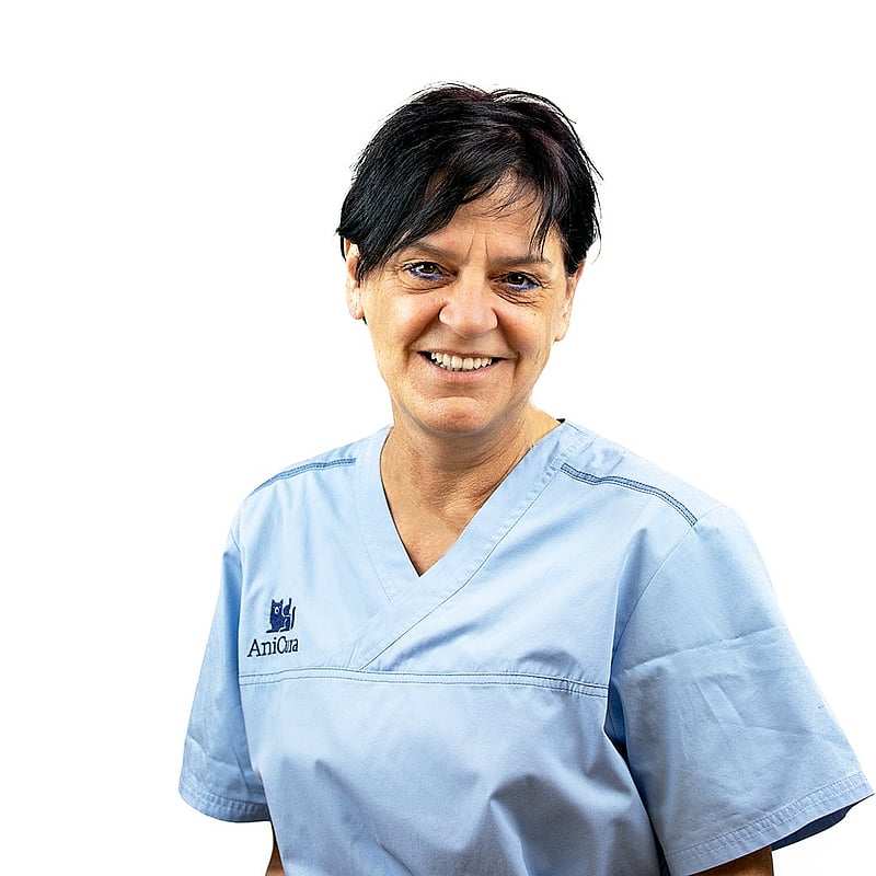 Foto von Anuschka Bernardin, Rezeption