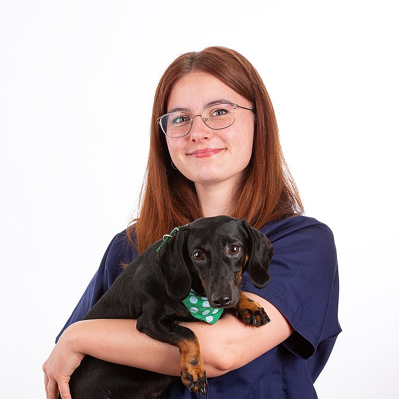Foto von Berit Borsum, Tiermedizinische Fachangestellte