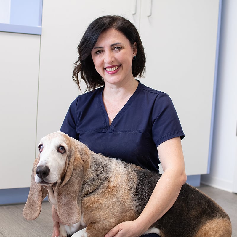 Foto von Dr (Uni Sarajevo) Agnesa Coralic, Tierärztin Kardiologin