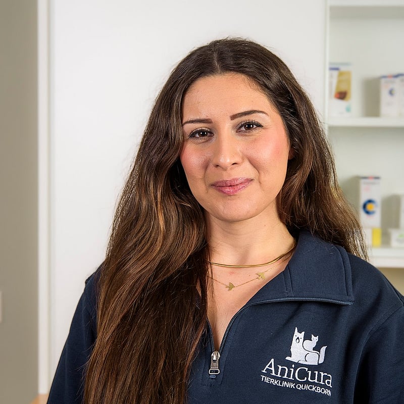 Foto von Dr. Merve Alan, Tierärztin