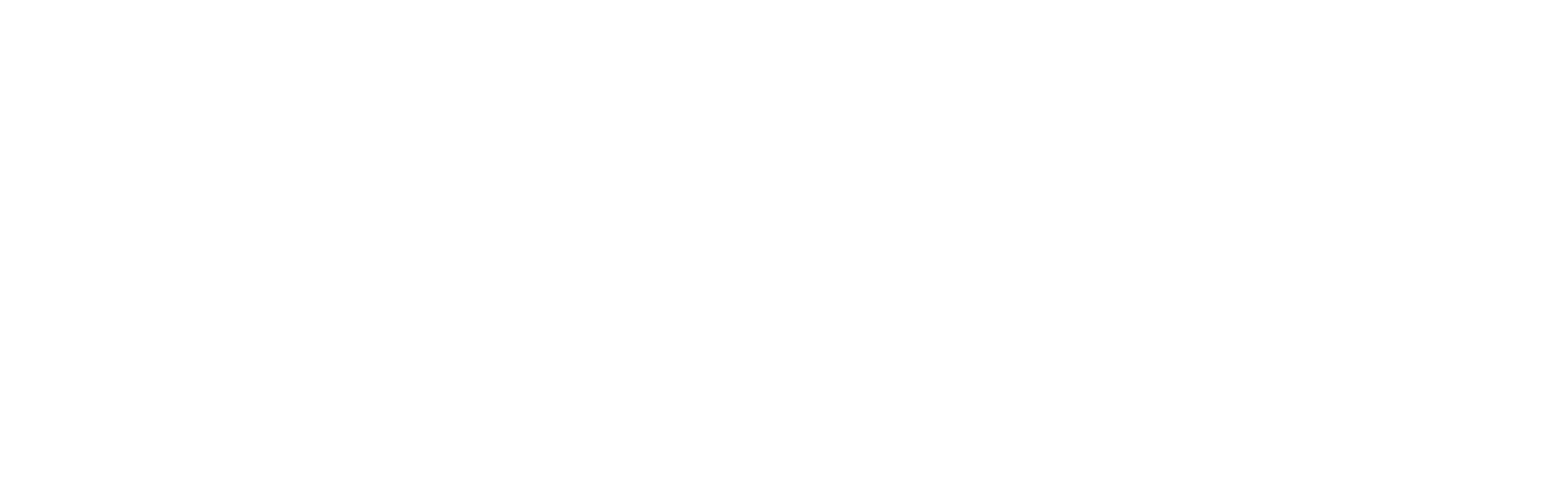 AniCura Borken logo