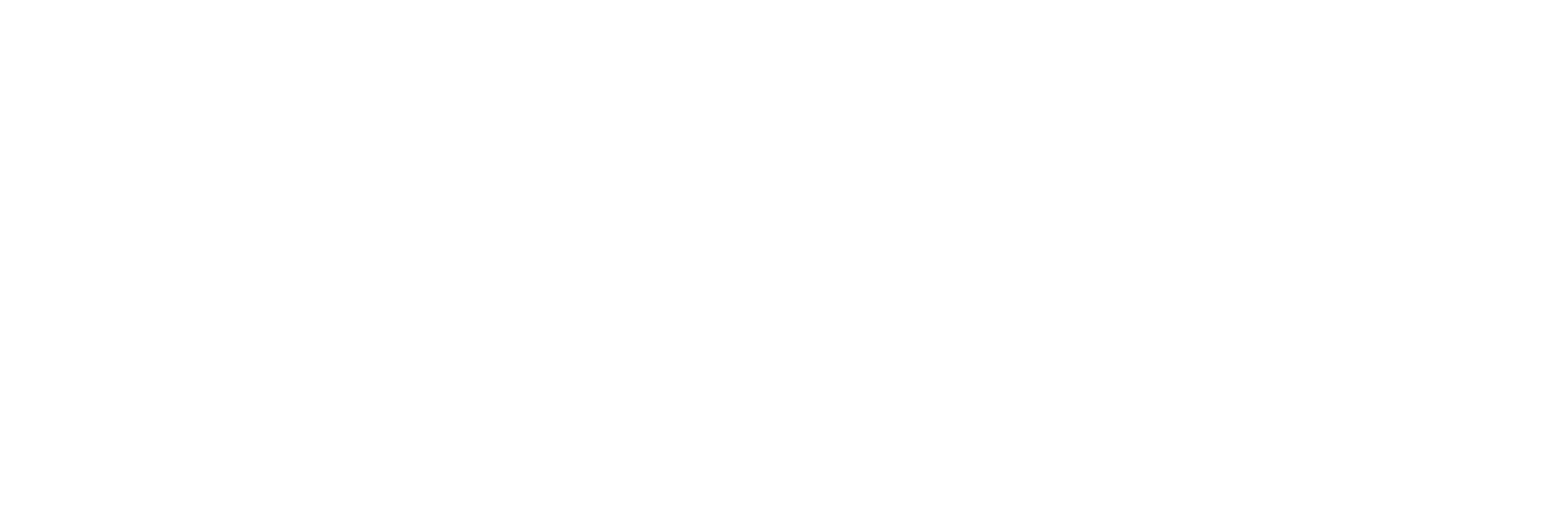 AniCura Lörrach logo
