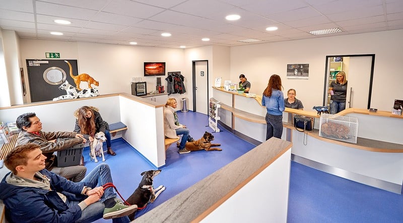 Eine Gruppe von Menschen, die mit Hunden in einem Wartezimmer sitzen.